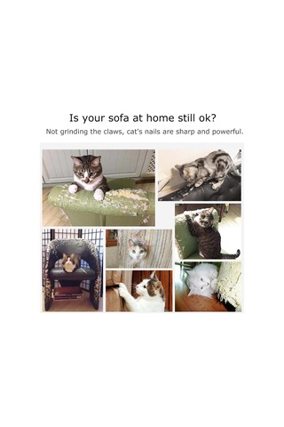 Geeroyoo Evcil Kedi Tırmalama Tahtası - Mobilya Koruyucu, Dayanıklı Bulap Malzeme, Tırnak Törpüleme, Bej Renk, M Boy