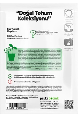 2500 Adet İnce Yapraklı Maydanoz