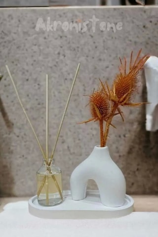 Tepsili Minimal N Vazo Ve Vanilya Oda Koku Seti Çok Renkli