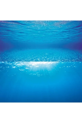Juwel Poster1 Plant/reef - S Arka Fon 60 X 30 Cm