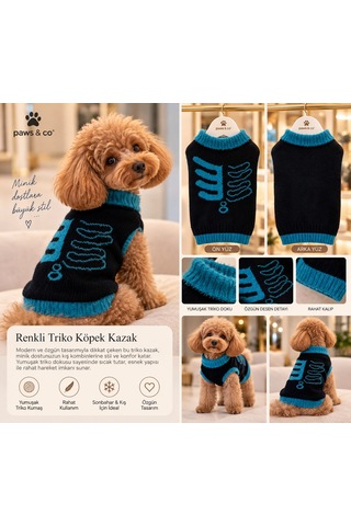 Turkuaz Detaylı Köpek Kazağı