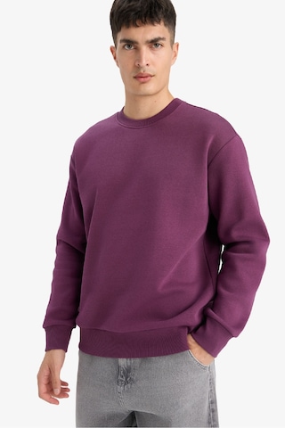 Defacto Relax Fit Bisiklet Yaka Kalın İçi Yumuşak Tüylü Basic Düz Sweatshirt T5139az25aupr79 Mor