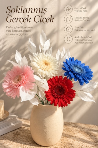 Premium Şoklanmış Gerçek Çiçek Buketi 4 Renkli Gerbera Ve Beyaz Dekoratif Yapraklar Çok Renkli