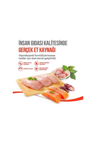 Kedi Crunch Ödül Catnipli & Tavuklu 60g