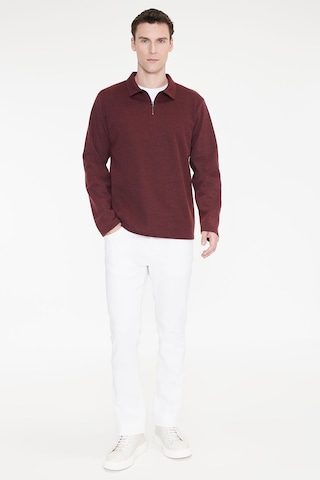 Ac&Co / Altınyıldız Classics Erkek Bordo Pamuklu Standart Fit Normal Kesim Polo Yaka Sweatshirt