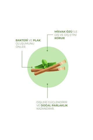 Agarta Doğal Misvak Özlü Diş Macunu 100 ML