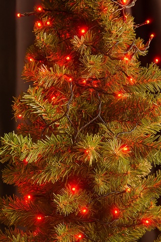 8.25 Metre Eklemeli Led Işık 80 Led - Kırmızı Renkli Prizli Dekoratif Aydınlatma Seti Karton Kutulu Diğer