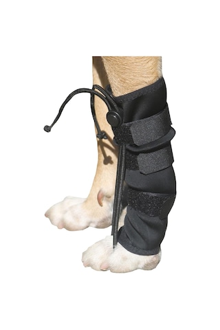 Köpek Ön Ayak Düzleştirici Small