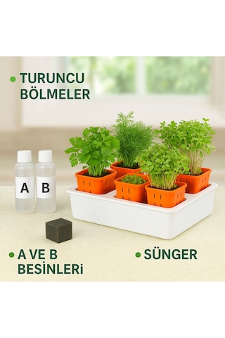 Topraksız Tarım Seti Hobi 6 Bölmeli Mini Hidroponik Bahçe Seti