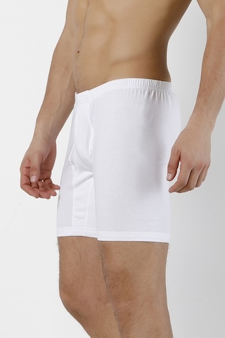 Doremi Erkek Arjantin Boxer 001