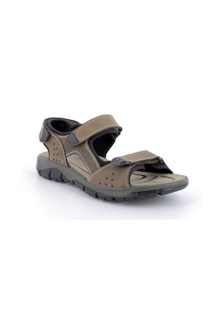 Sandalet Erkek Diğer 7645022 Igı&co Uev 76450 Nabuk Ingr.schı Fango Chiaro Kahverengi