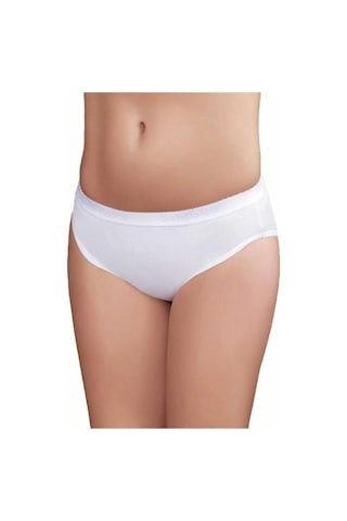 12 Li Paket Şahinler Bayan Bikini Külot B037