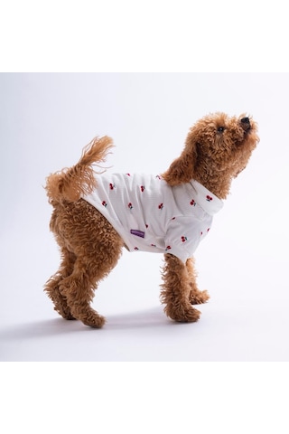 Cherry Bloom Kiraz Desenli Kedi Köpek Sweati - Kedi Köpek Kıyafeti-kedi Köpek Sweati