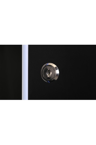 Lande - 12u 19" Duvar Tipi Rack Kabinet Genişlik: 600 Mm Derinlik: 600 Mm Siyah