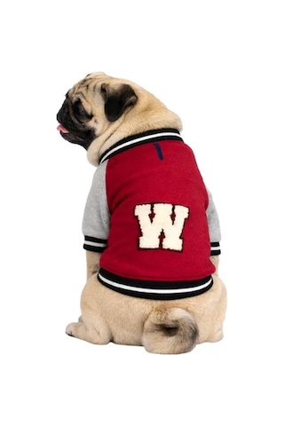 Gedyco W Polarlı Küçük Irk Köpek Kolej Sweatshirtü-21634