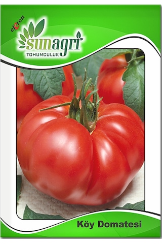 Bykurt Sunagri Köy Domatesi Tohumu - Gerçek Köy Lezzeti Kalın Kabuklu Uzun Hasat Süreli Köy Domatesi Tohumu