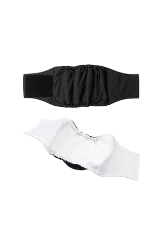 Erkek Köpek Özel Nezaket Kemeri Pet Fizyolojik Pantolon, Boyut: Xl Yeşil