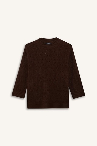 Defacto Regular Fit Bisiklet Yaka Ajurlu Triko Tunik G0710ax25wnbn330 Kahve-bn330