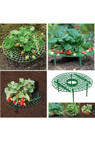 Yate10 2 Adet Plastik Çilek Geliştirme Standı