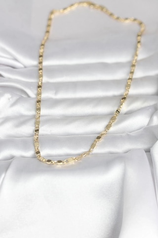 Ceylan Adam Cm 14k Gold Renk Arpa Model 45 Cm Kadın Kolye Çok Renkli
