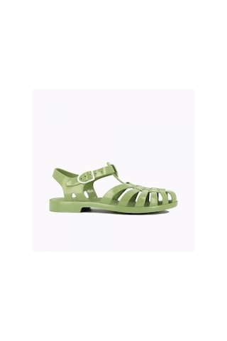 Meduse Sun Olive - Yeşil Kadın Sandalet
