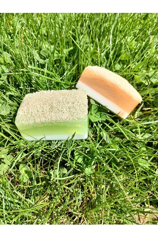 Doğal Kabak Lifli Ballı Eşek Sütlü  + Aloe Vera 2'li Sabun