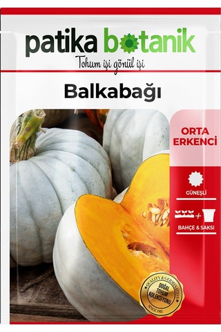 15 Adet Balkabağı Tohumu (Turuncu Etli)