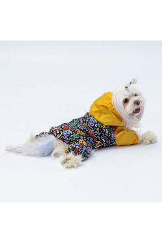 Pawstar Ferrara Tulum Yağmurluk Küçük Ve Orta Irk