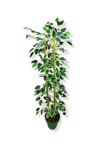 Cihan Çiçekçilik Yapay Yapraklı Fıcus 3 Bambu'lu 110 Cm Beyaz- Yeşil