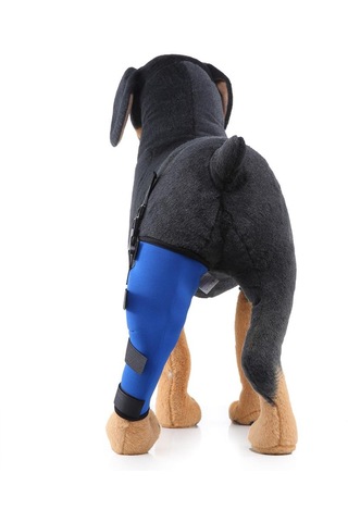 Homyl Köpek Yardımcı Kemer Koruyucu Eklemler