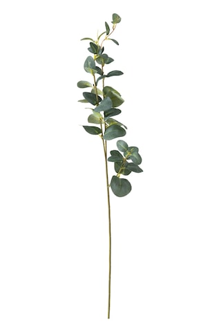 Mudo Home Aura Dal Çiçek 70 Cm Yeşil
