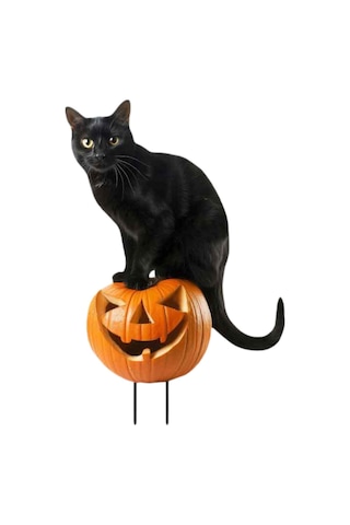 Suntek Heykeli Bahçe Kazığı 18,9x28-cm-kara-kedi-balkabağı