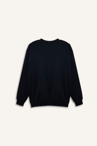 Defacto Boxy Fıt Bisiklet Yaka Pike Sweatshirt H1001ax26spnv64 Lacivert-nv64