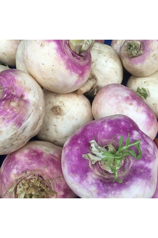Şalgam Turpu Turnip Tohumu 10 Gr Paket 1 Paket