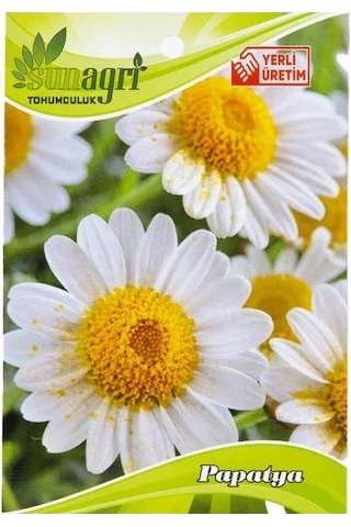 Sunagri Papatya Çiçeği Tohumu