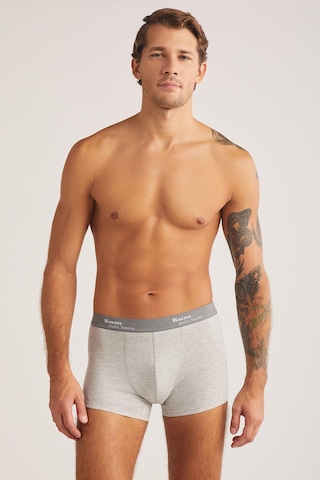 Pierre Cardin Kom Tight Gri 2'li Şort Boxer 2'li Avantajlı Paket Gri