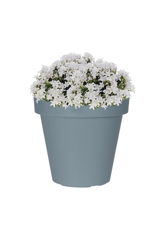 Gri Plastik Yuvarlak Saksı Çap 40 Cm Yükseklik 35 Cm