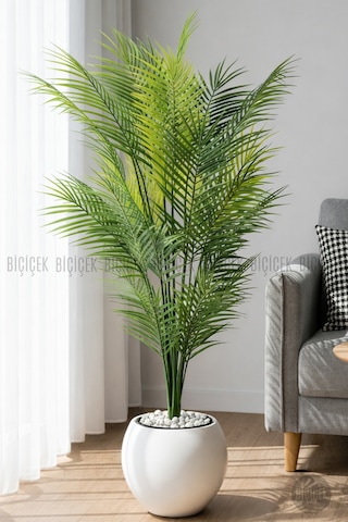 Biçiçek Areka Ağaci 24 Yapraklı 130 Cm Beyaz Küre Saksıda