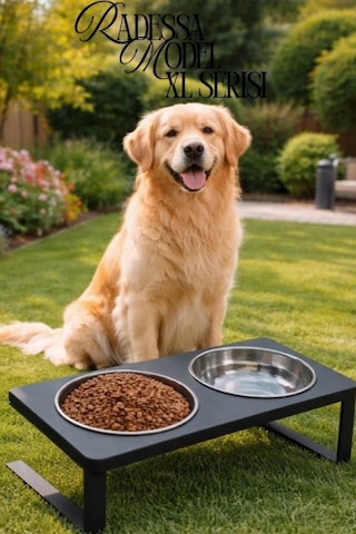 Reyo Ok-ay Store Radessa Xl Yüksek Standlı Çift Hazneli Mama Ve Su Kabı, Büyük Ve Orta Boy Köpek Ve Kedi Su Kabı Paslanmaz Çelik Siyah