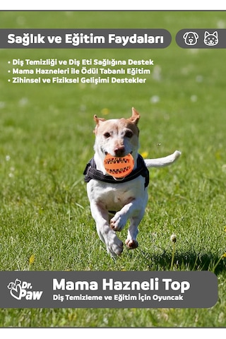 Dr. Paw Mama Hazneli Köpek Oyun Topu