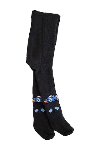 Hepsinerakip Erkek Bebek/Çocuk Havlu Renkli Desenli Külotlu Pamuk Çorap