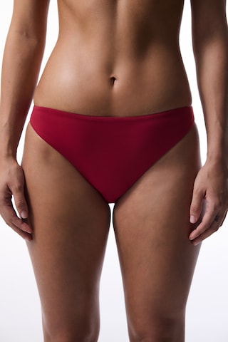 Penti Bordo Carmen Bikini Altı Bordo