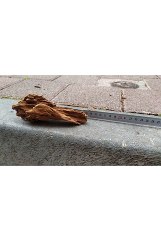 Akvaryum Dekoru Mango Kökü Mangrov