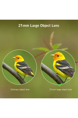 Suofeng Kompakt Katlanabilir 8x21 Mini Binokül, Hafif Ve Taşınabilir, Net Görüntü, Kuş İzleme, Seyahat, Konser İçin Yetişkin Ve Çocuklar İçin