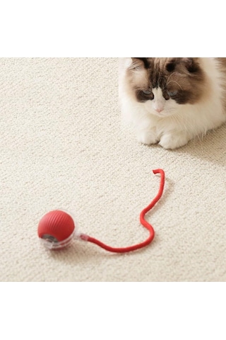 Hesperus Kedi Köpek İçin Kendinden Hareketli, Şarjlı Oyuncak Top
