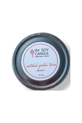 Portakal Günlük Ve Tarçın Mumu 230ml-2631