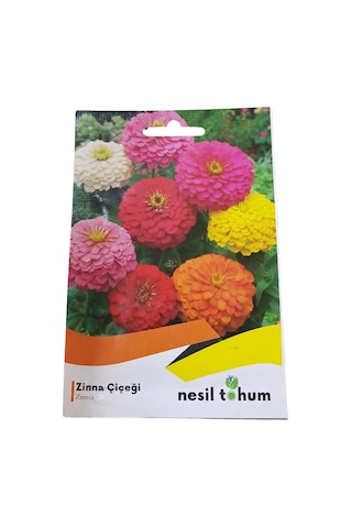 Nesil Tohum Zinna Çiçeği Tohumu 30adet