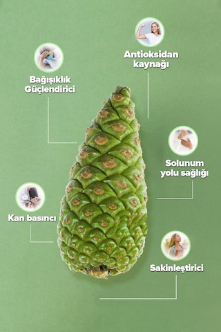 Ekstraktlı Çam Çırası Kozalak Suyu 500 Ml