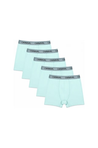 Carnaval Socks Erkek Boxer 5'li Set Carnaval Breeze Mint Çoklu
