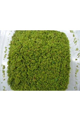 Antep Fıstığı Boz İç Çekilmiş 250 Gr Diğer